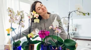 Tрикове на опитните градинари, за да цъфтят орхидеите целогодишно