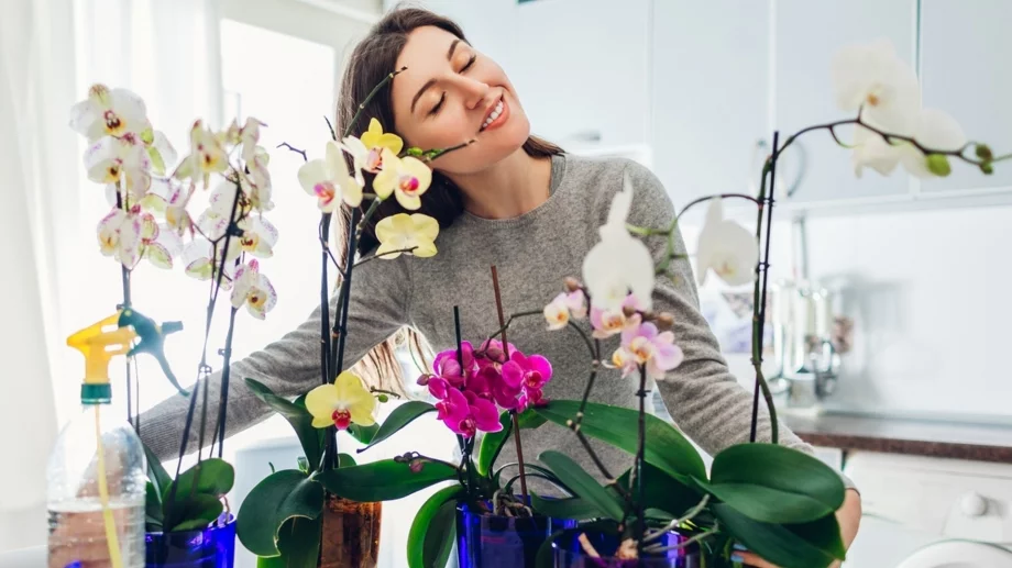 Tрикове на опитните градинари, за да цъфтят орхидеите целогодишно