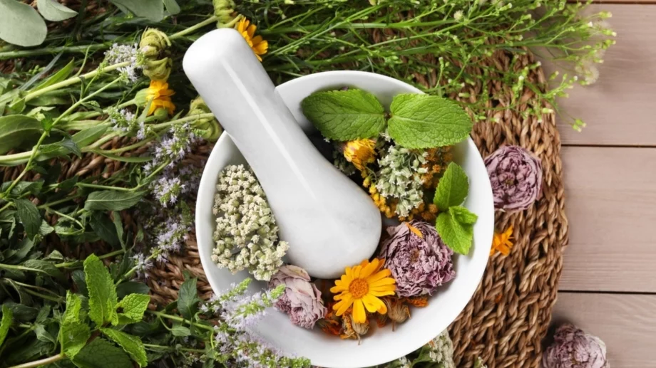 5 билки за железен имунитет