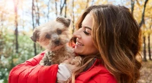 Таро карта за всяка зодия за 1 ноември 2024