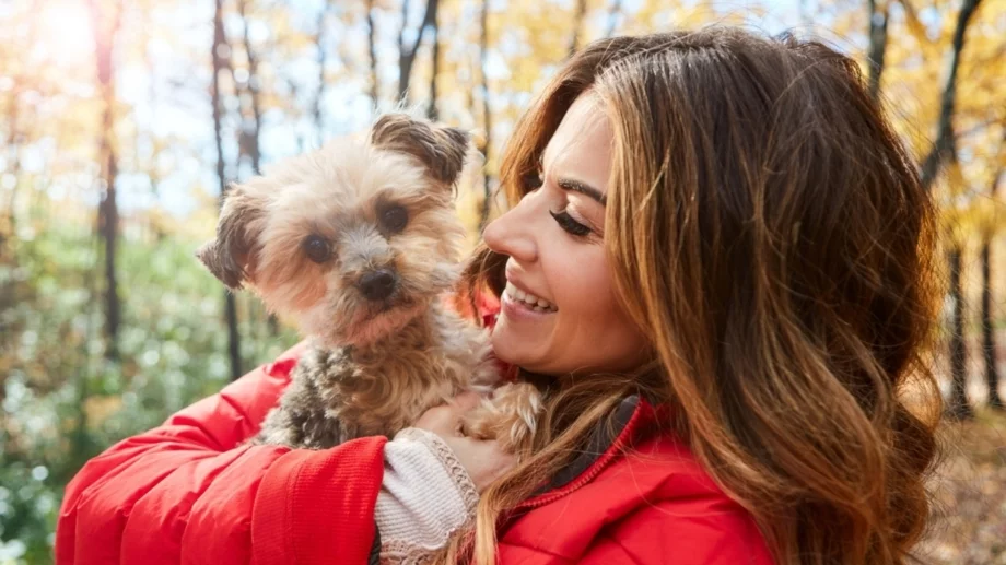 Таро карта за всяка зодия за 1 ноември 2024