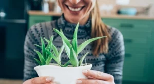 8 растения, които могат да намалят стреса само като са близо до вас