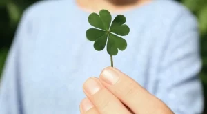 Късметче за всяка зодия за 7 ноември 2024