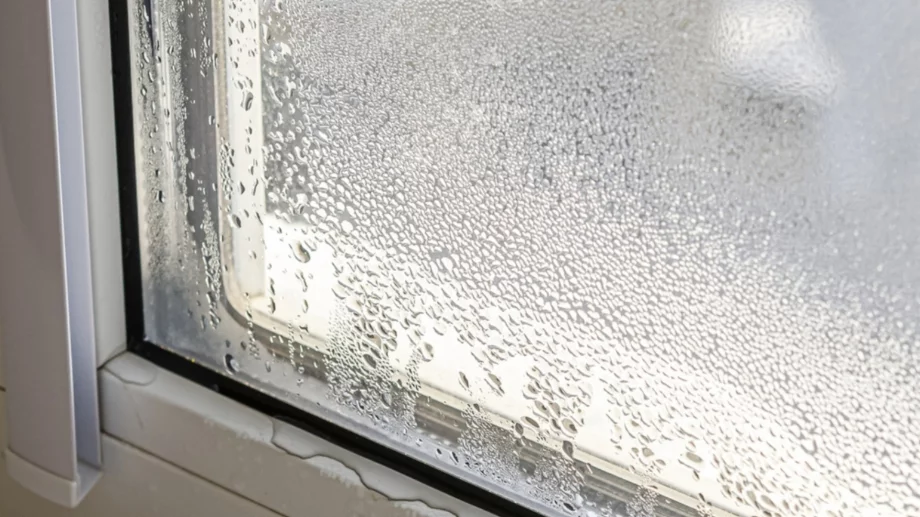 Така ще премахнете излишната влага във вашия дом 