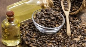 Ползи от поставянето на рициново масло в пъпа 