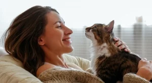 Таро карта за всяка зодия за 14 ноември 2024