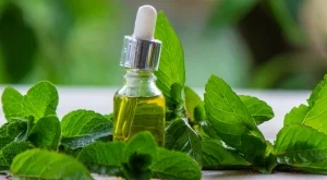 Искате да подхраните косата си? Използвайте това масло