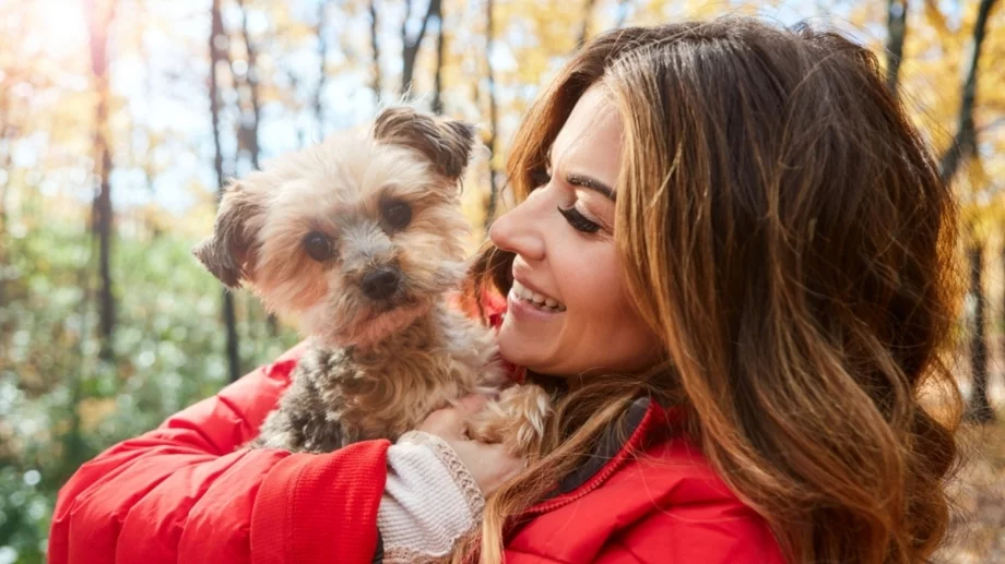 Хороскоп за утре, 21 ноември 2024: Финансова помощ за Телците, прекрасен ден за Скорпионите