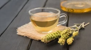 Ползи от редовното пиене на мурсалски чай 