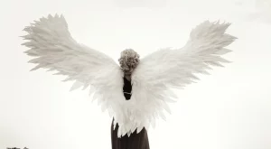 Тези 3 зодии трябва да търсят знаци от своите ангели пазители през декември 2024