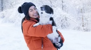 Таро карта за всяка зодия за 4 декември 2024