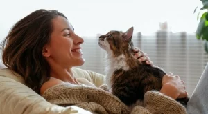 Таро карта за всяка зодия за 5 декември 2024