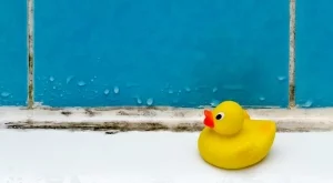 Белината само влошава мухъла, ето какво да използвате 