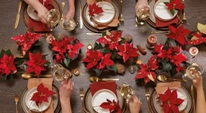 Чудна украса за дома с коледна звезда (СНИМКИ)