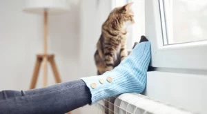 8 начина ефективно да се справите със студените ръце и крака