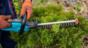 Градински инструменти, които просто трябва да притежавате