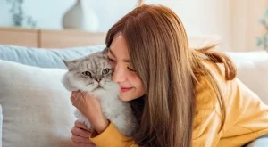 Хороскоп за утре 20 декември 2024: Късмет за Овните, положителни промени за Козирозите