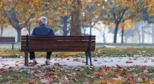 2024/12/20/2a1188281550f3e4d22a5fabc7d13f63