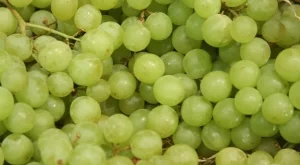 Защо някои хора ядат по 12 зърна грозде на Нова година