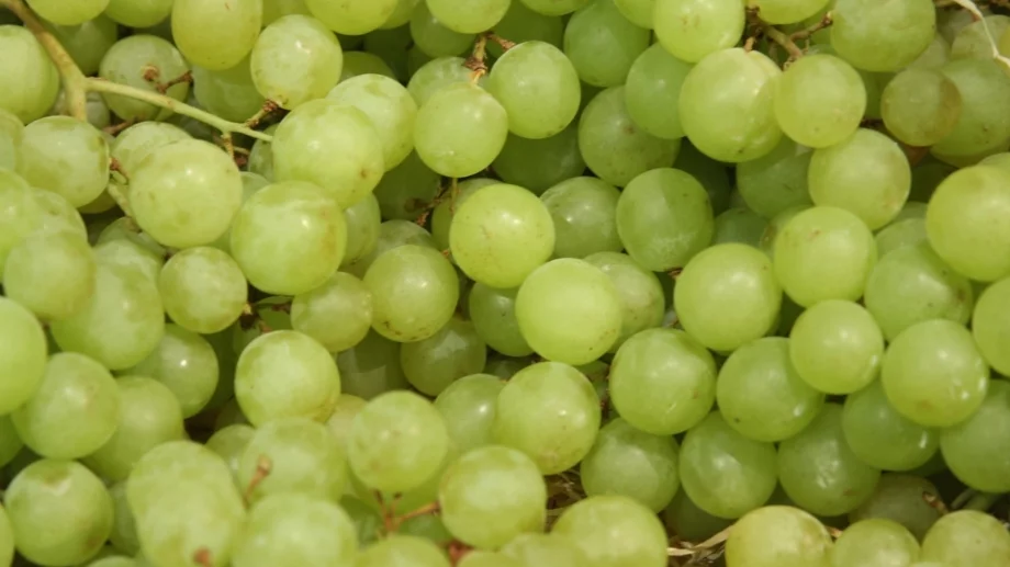 Защо някои хора ядат по 12 зърна грозде на Нова година