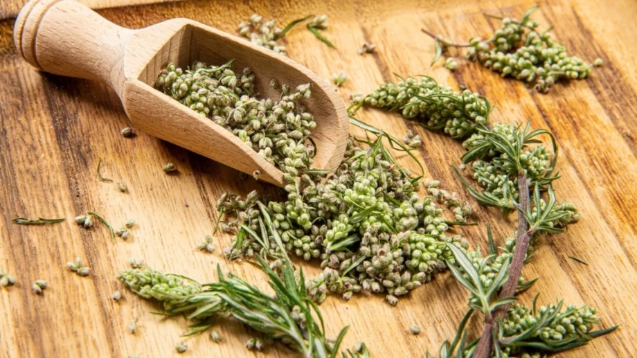 15 ползи от консумацията на пелин