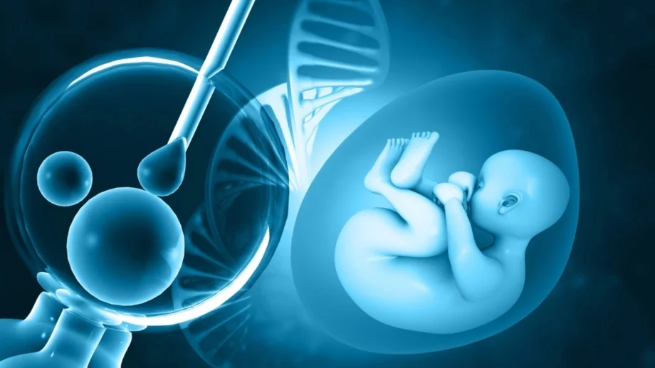 Разбиваме 7 често срещани мита за инвитрото (IVF)