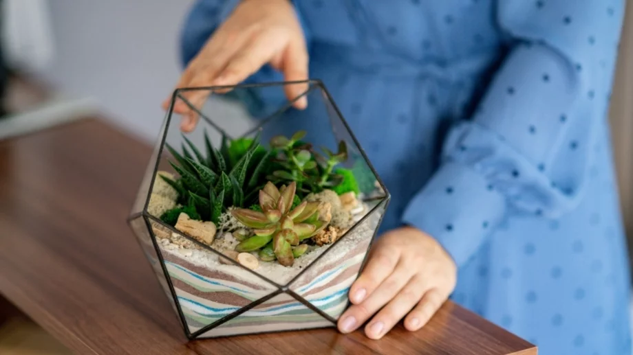 4 тенденции при стайните растения за 2025