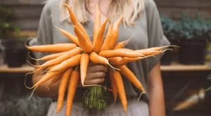 Ако искате да сте здрави и дълголетни, пийте това