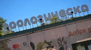 Поскъпват билетите за столичния зоопарк, ето колко ще струват