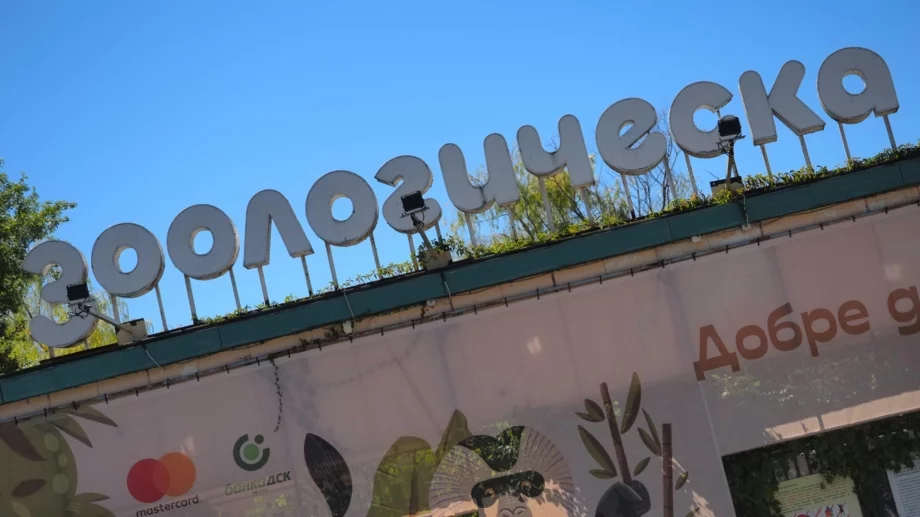 Поскъпват билетите за столичния зоопарк, ето колко ще струват