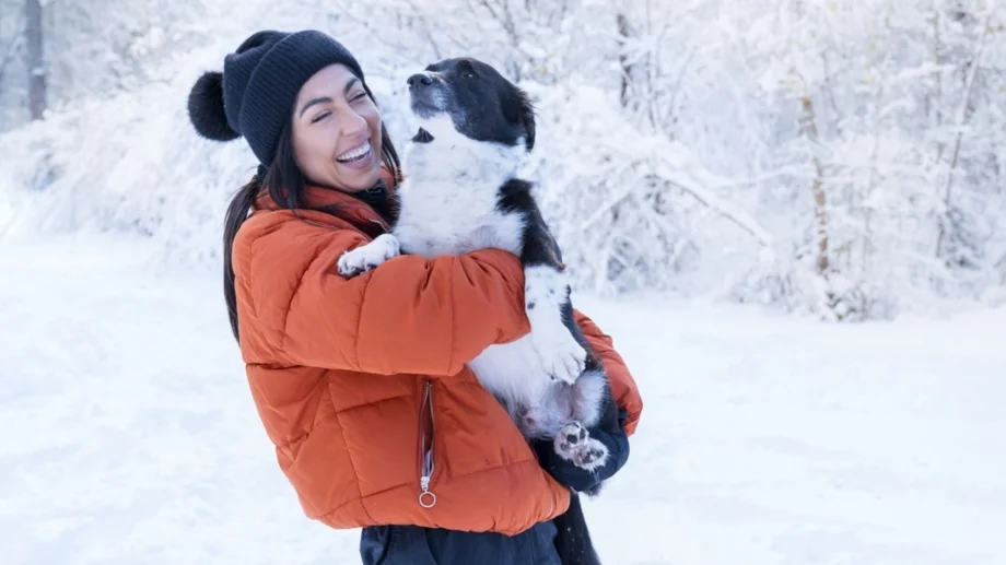 Таро карта за всяка зодия за 17 януари 2025