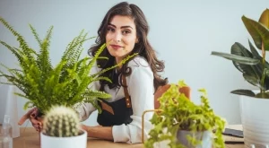 Кои стайни растения трябва да държите далеч едно от друго