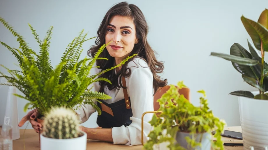 Кои стайни растения трябва да държите далеч едно от друго