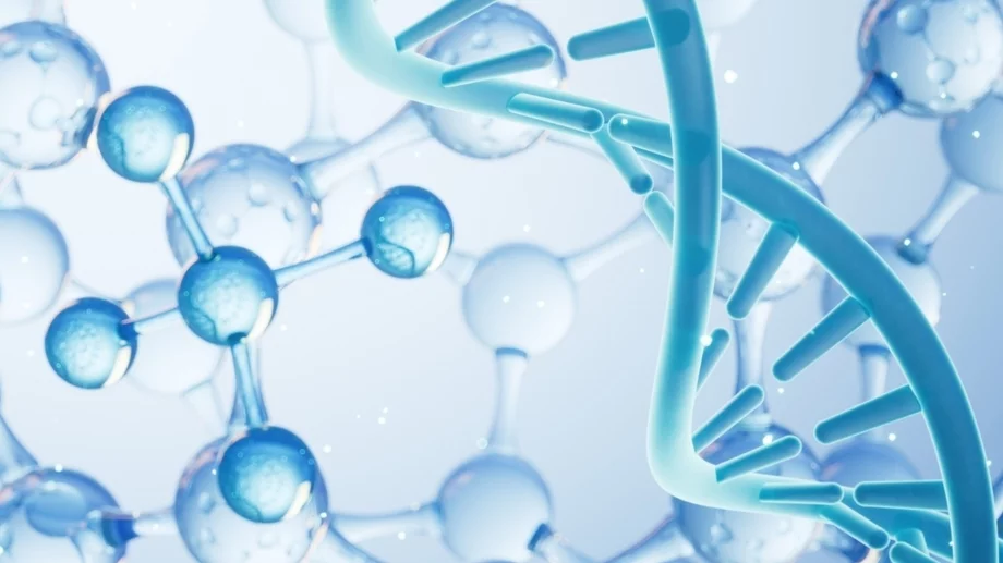 Bronchogen Peptide: A Frontier in Bronchial Cellular Research  