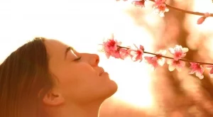 Най-голямата промяна за всяка зодия през пролет 2025