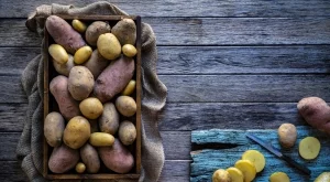 Картофите остават свежи повече от 6 месеца, ако НЕ ги съхранявате с този зеленчук