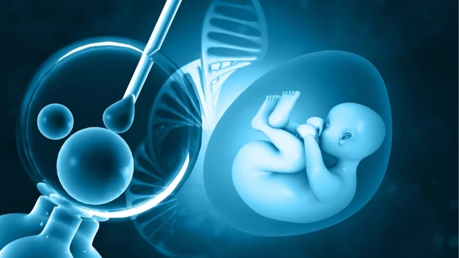 10 важни неща, които трябва да знете преди и след ембриотрансфер