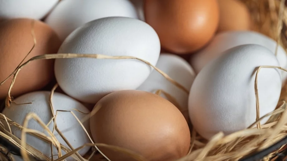 Каква е разликата между кафявите и белите яйца