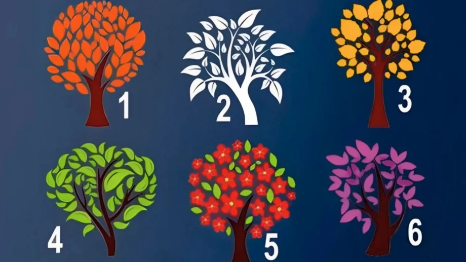 Изберете си дърво и разберете какво мислят другите за вас