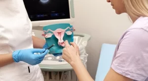 8 често срещани въпроса за ембриотрансфера: Отговорени