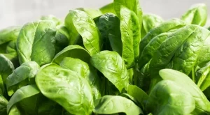 Как да използвате спанак за по-добър растеж на косата