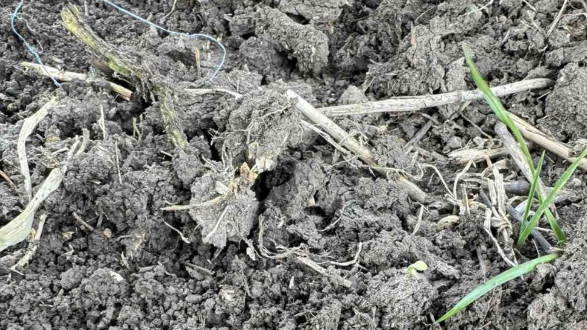 Предупреждение: Заплахи за ранни посеви в България