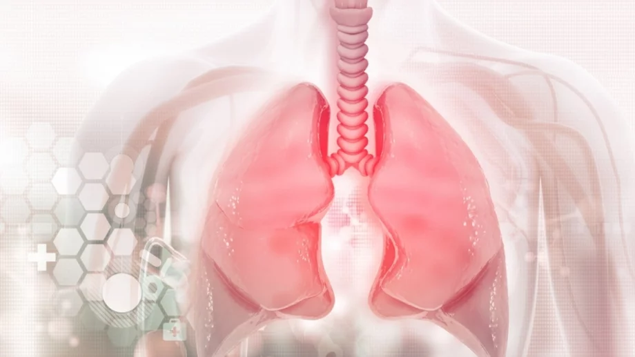 7 естествени начина да почистите белите си дробове