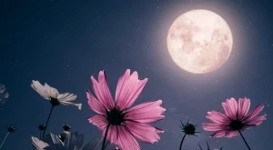 Наблюдаваме микролуна този уикенд, ето какво значи