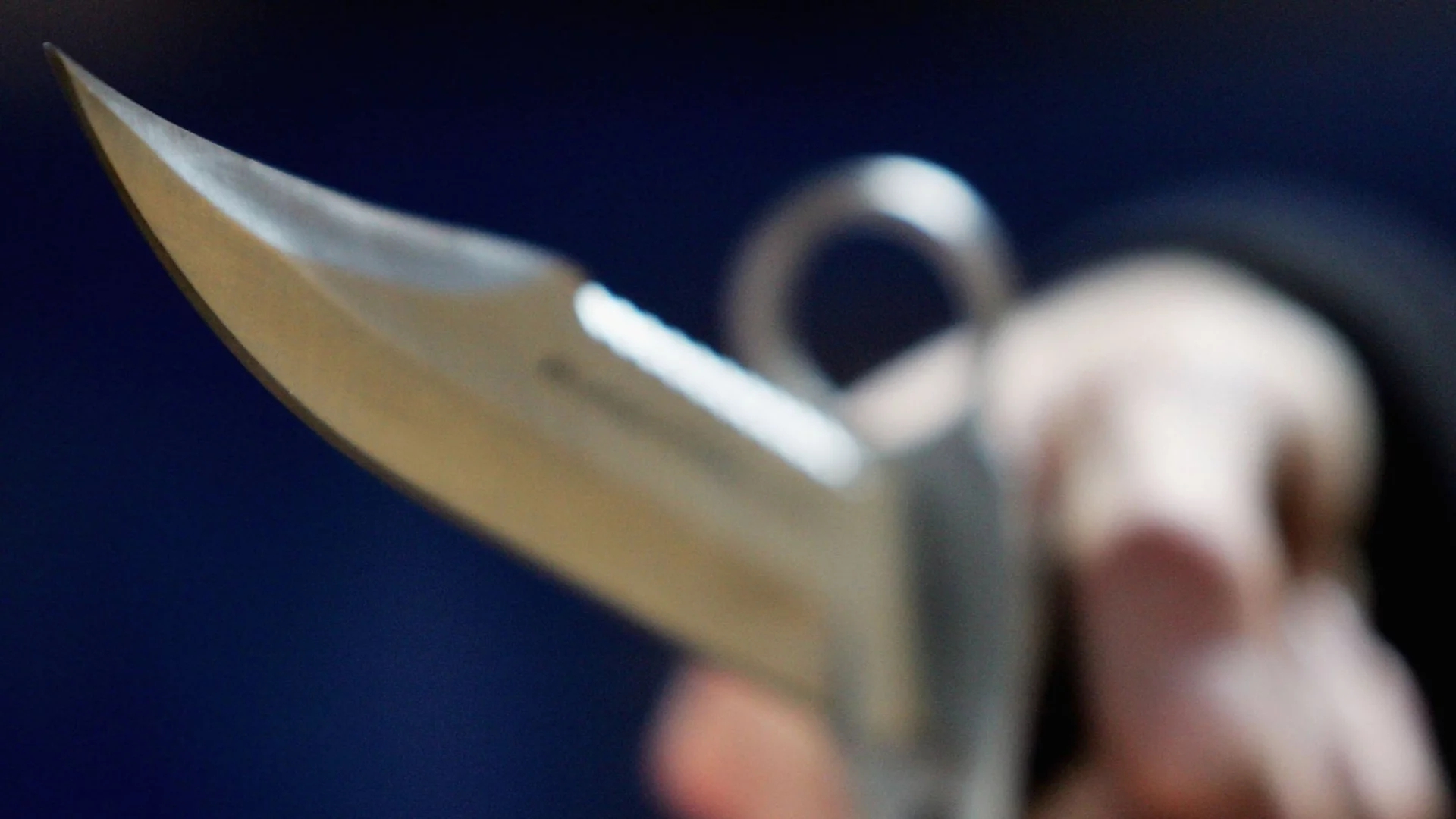 В защита на сестра си: 15-годишна уби баща си