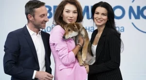 Синоптиците на NOVA търсят дом на бездомни кучета 