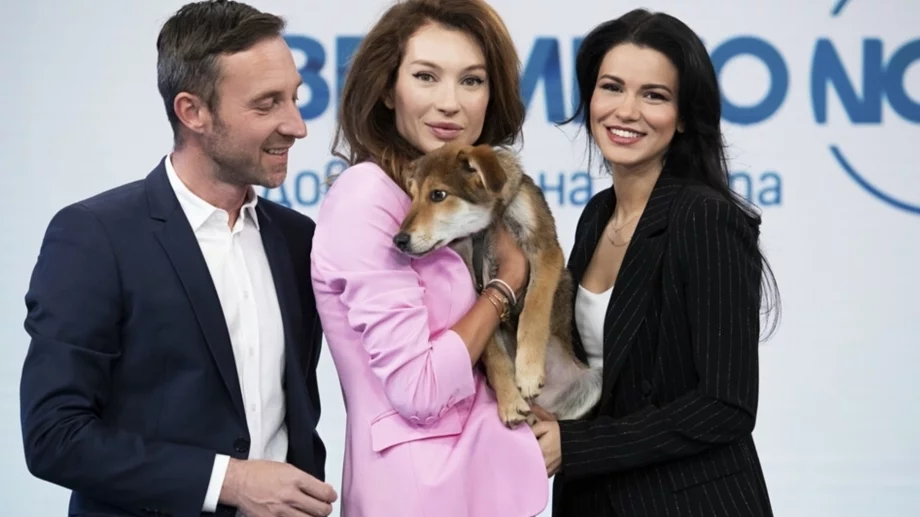 Синоптиците на NOVA търсят дом на бездомни кучета 