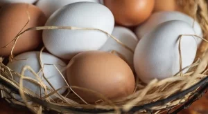 Как лесно и бързо да избелим яйца за Великден (ВИДЕО)