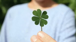 Чудно късметче за всяка зодия за 23 април 2025