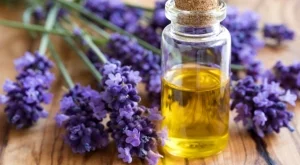 5 неща, които маслото от лавандула може да направи за вас